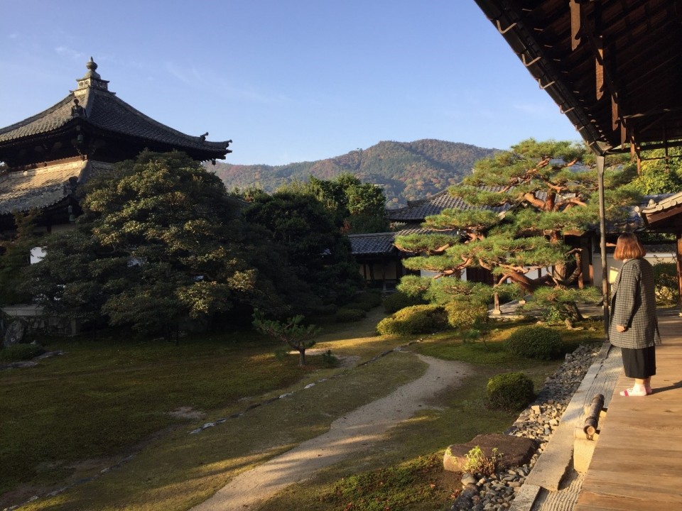 お寺に泊まろう♪ ～嵯峨嵐山の鹿王院で宿坊体験～