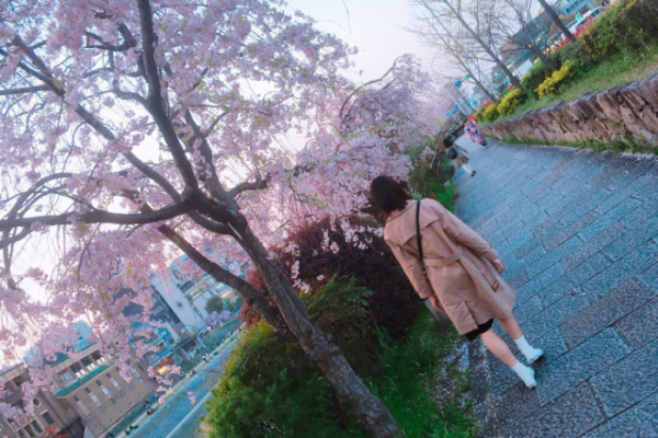 桜の中を歩く筆者