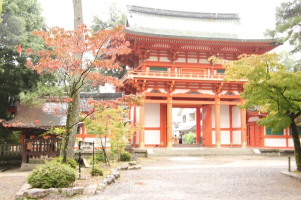秋だ！紅葉だ！よし、京都へ行こう！市バスの運転手さんに秋の京都のおススメスポットを聞きました