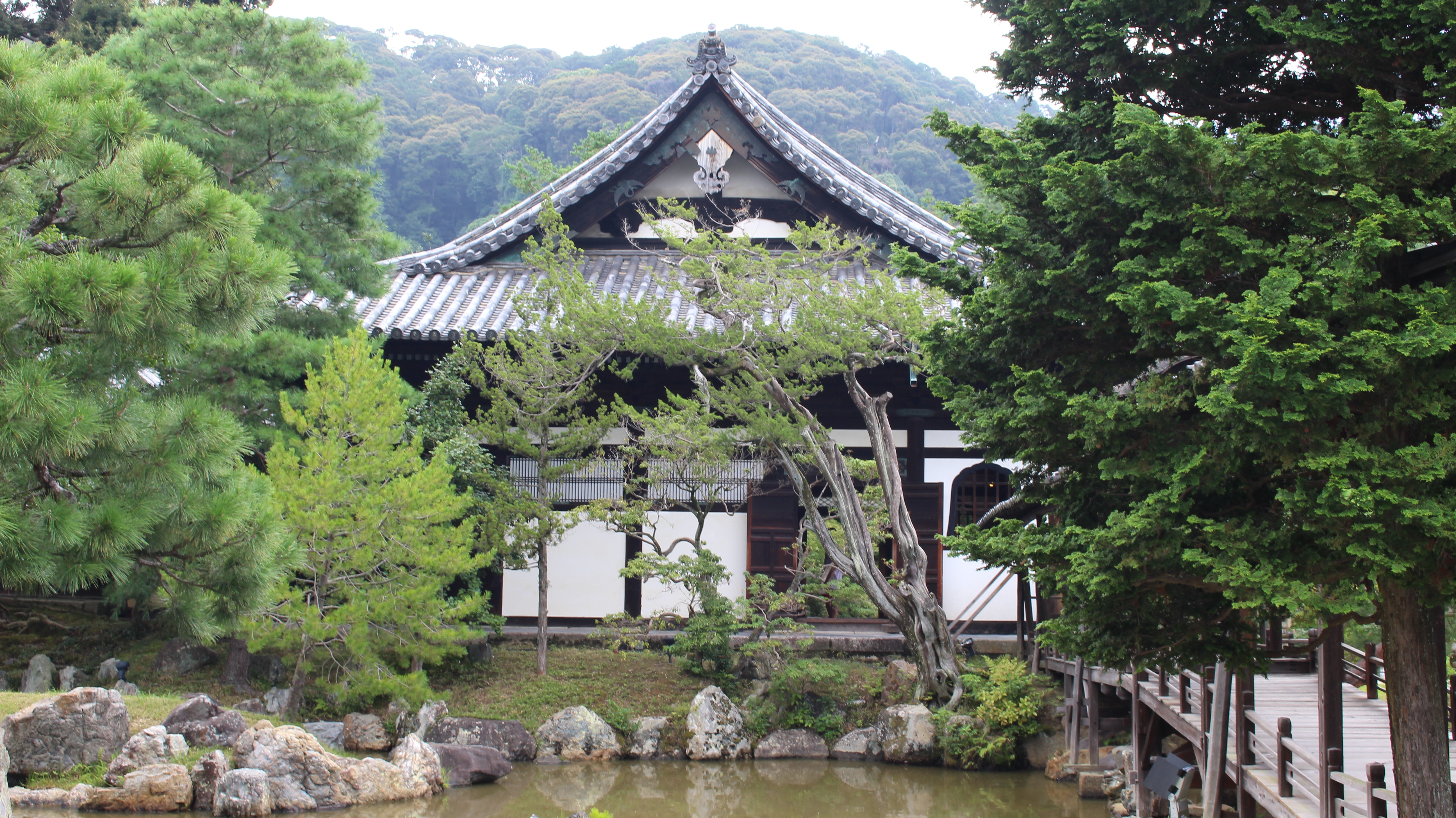 京都の学生生活を満喫！京都のお寺めぐり～高台寺編～