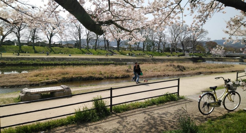 先輩が教える ぼっち新入生のための大学サバイバル術 コトカレ