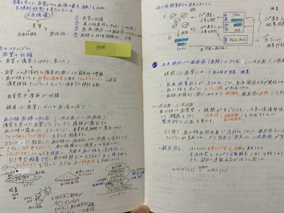 あなたはどれ派 種類別 大学生のノートの取り方5選 コトカレ