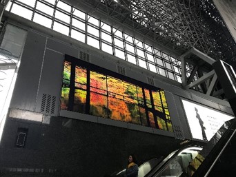 10月1日放映開始！京都駅の大型サイネージ「京都プレミアム vision」の動画制作に京都学生広報部が協力しました。