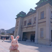 青木 花乃