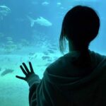 松本愛海